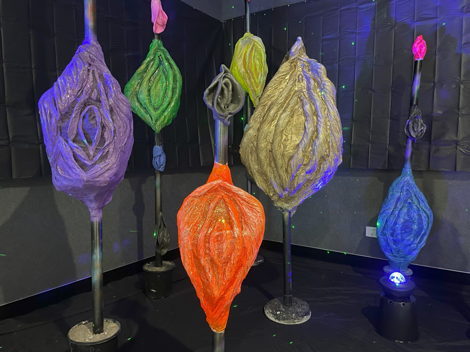 Large, galaxy-lit sculptures of colourful vaginas are mounted on poles in the corner of a darkened room.