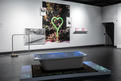 An oversized photo of a neon green heart is  surrounded by smaller black and white images. A bathtub showing a flickering  projection sits in the foreground.