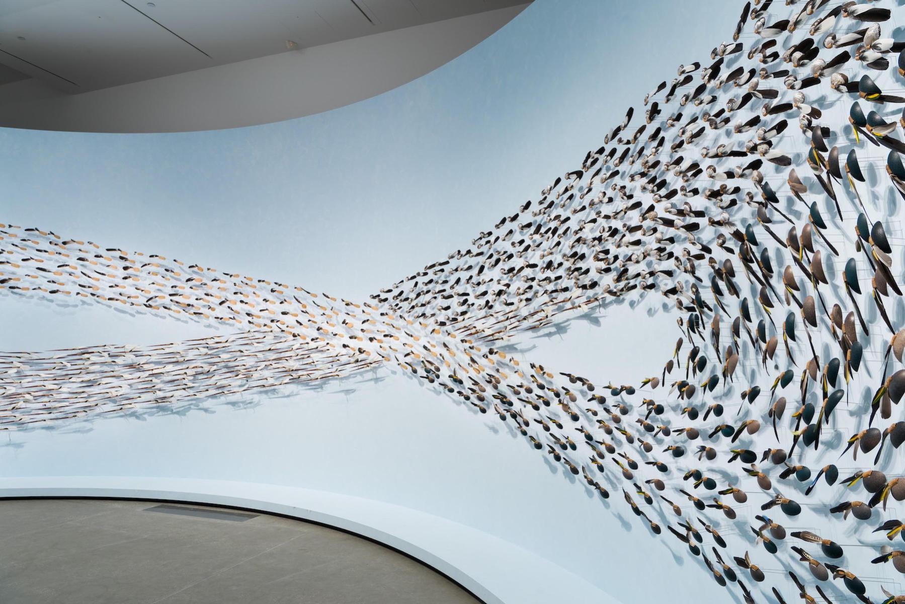 An installation of shells and feathers arranged in an infinity symbol shape fills a blue and cuved gallery wall