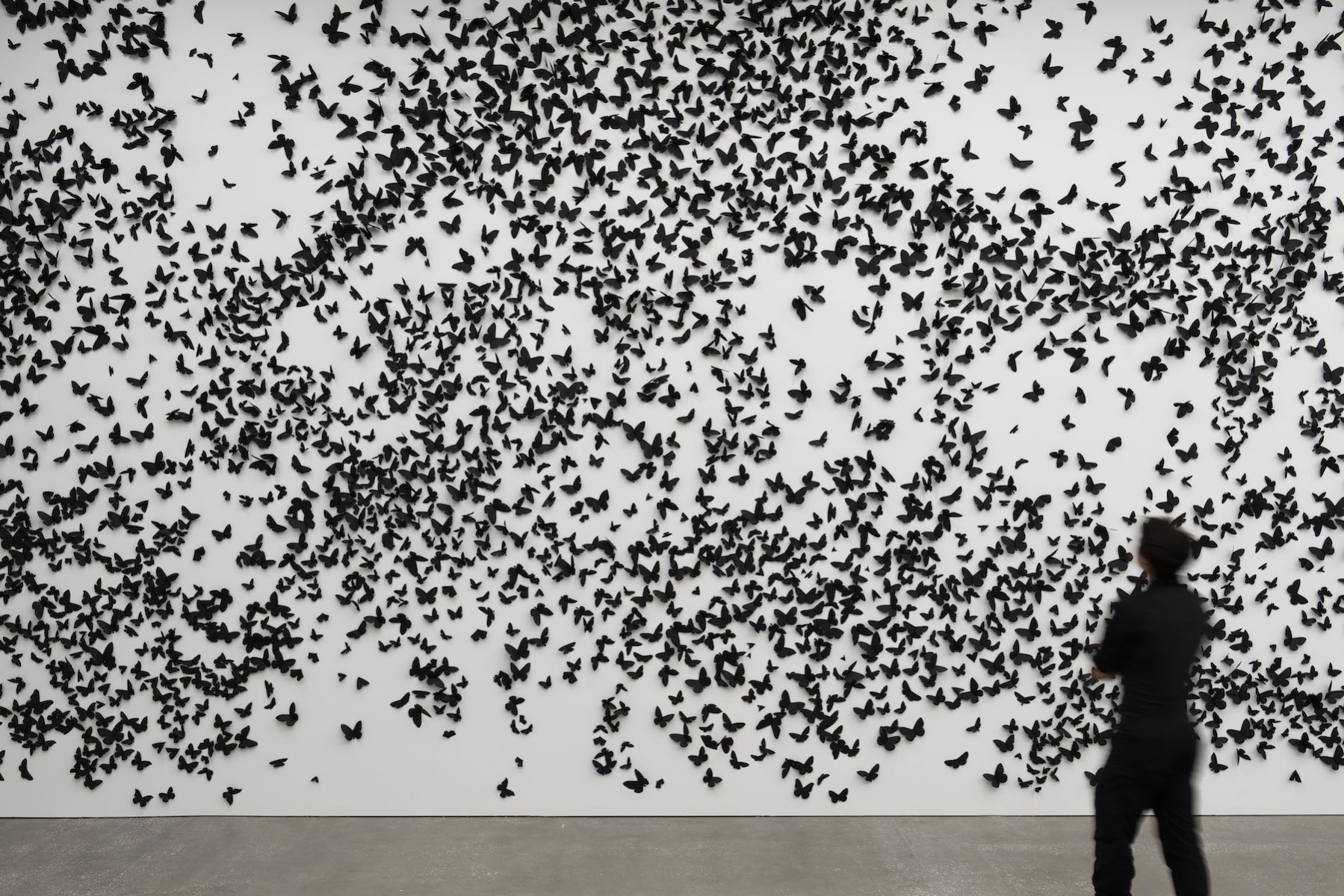 Black paper butterflies fill a white gallery wall, a figure stands in front observing