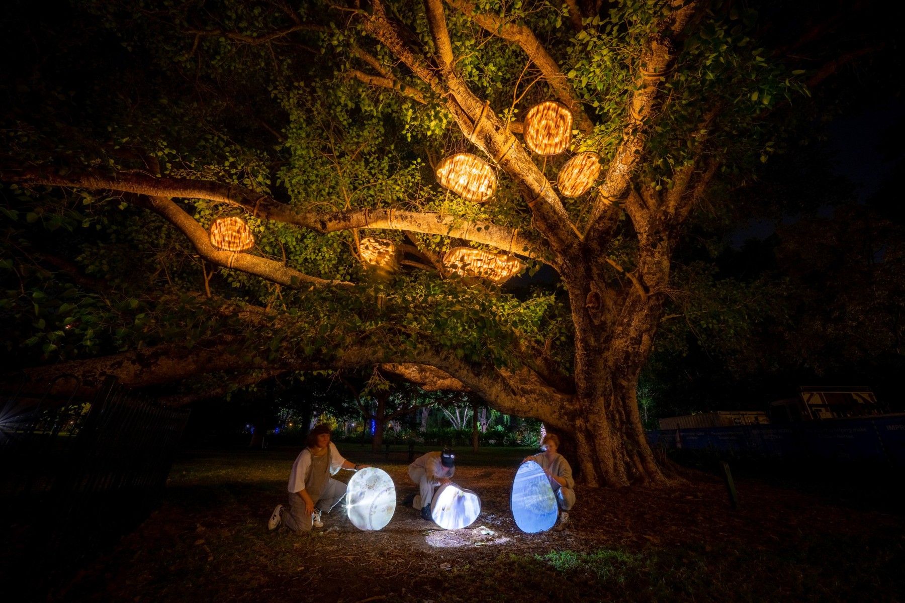 Three people crouch beneath a large tree strung with five ovular ceramics, setting up reflective panels onto which microscopic waterlife has been projected