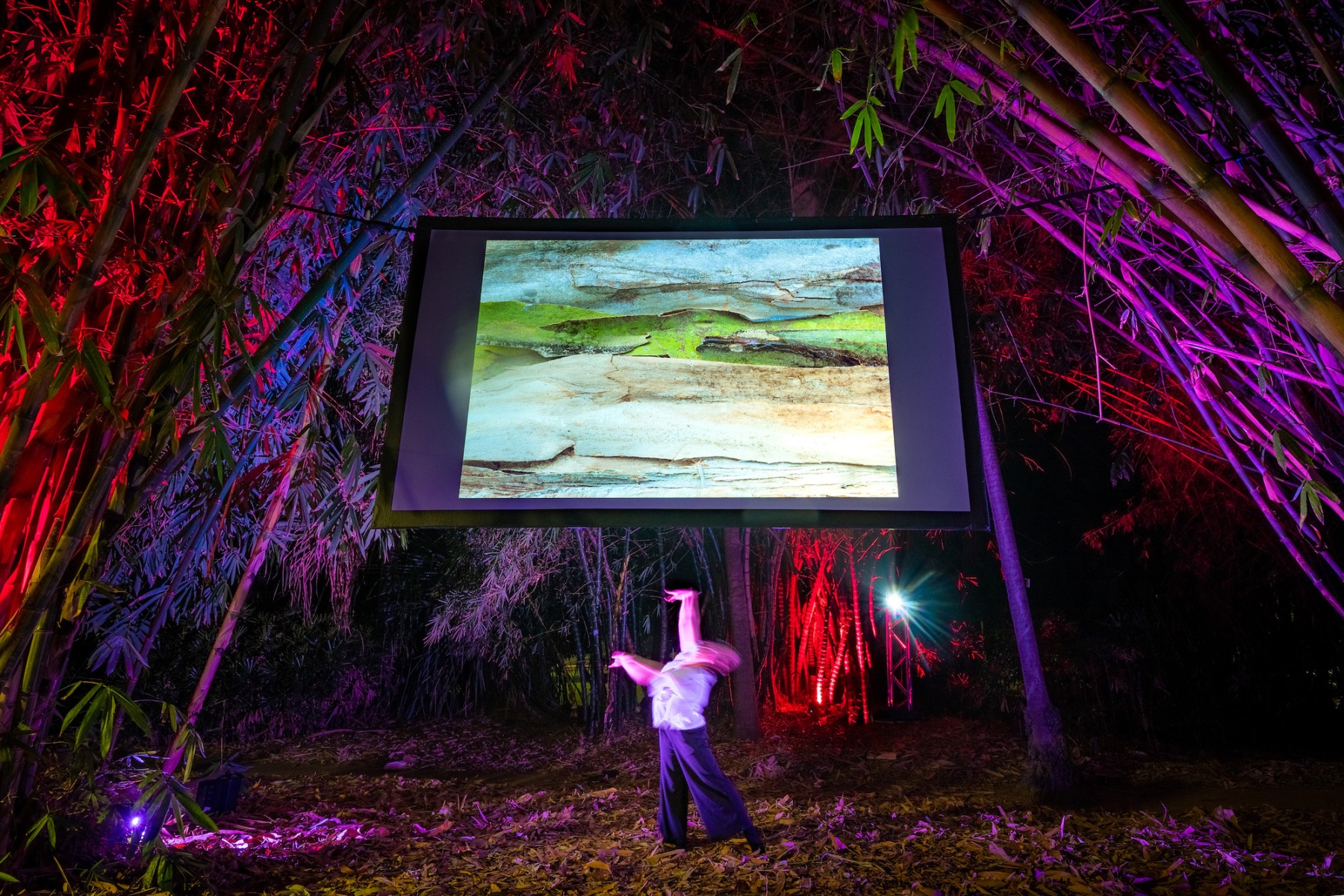 A blurry figure dances beneath a large screen suspended in a bamboo grove, onto which macrophotography of bushlands and riverbeds is displayed