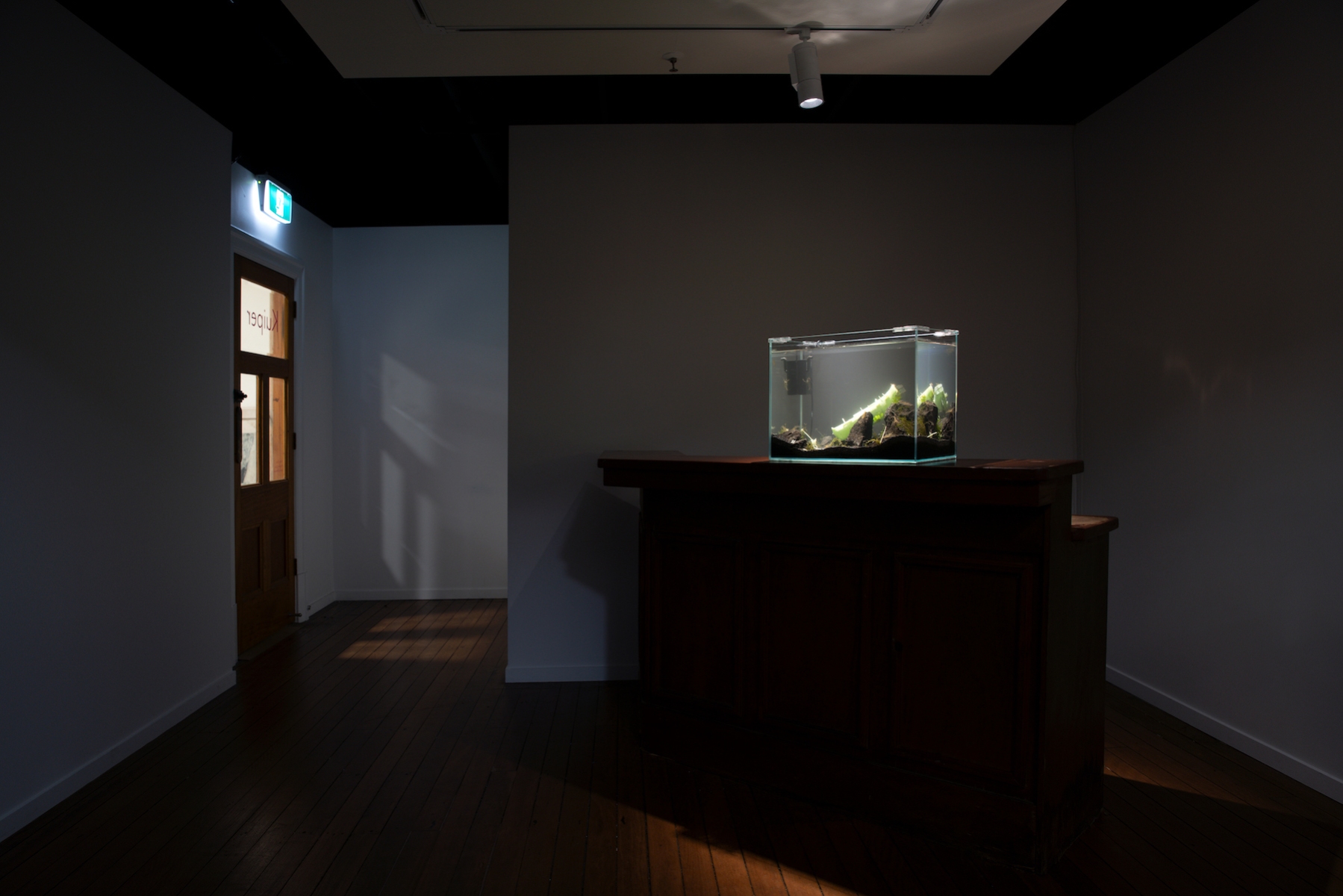 A darkly lit room, with timber floorboards and white walls. On the right hand side is an arched timber bar, with a fish tank placed on top