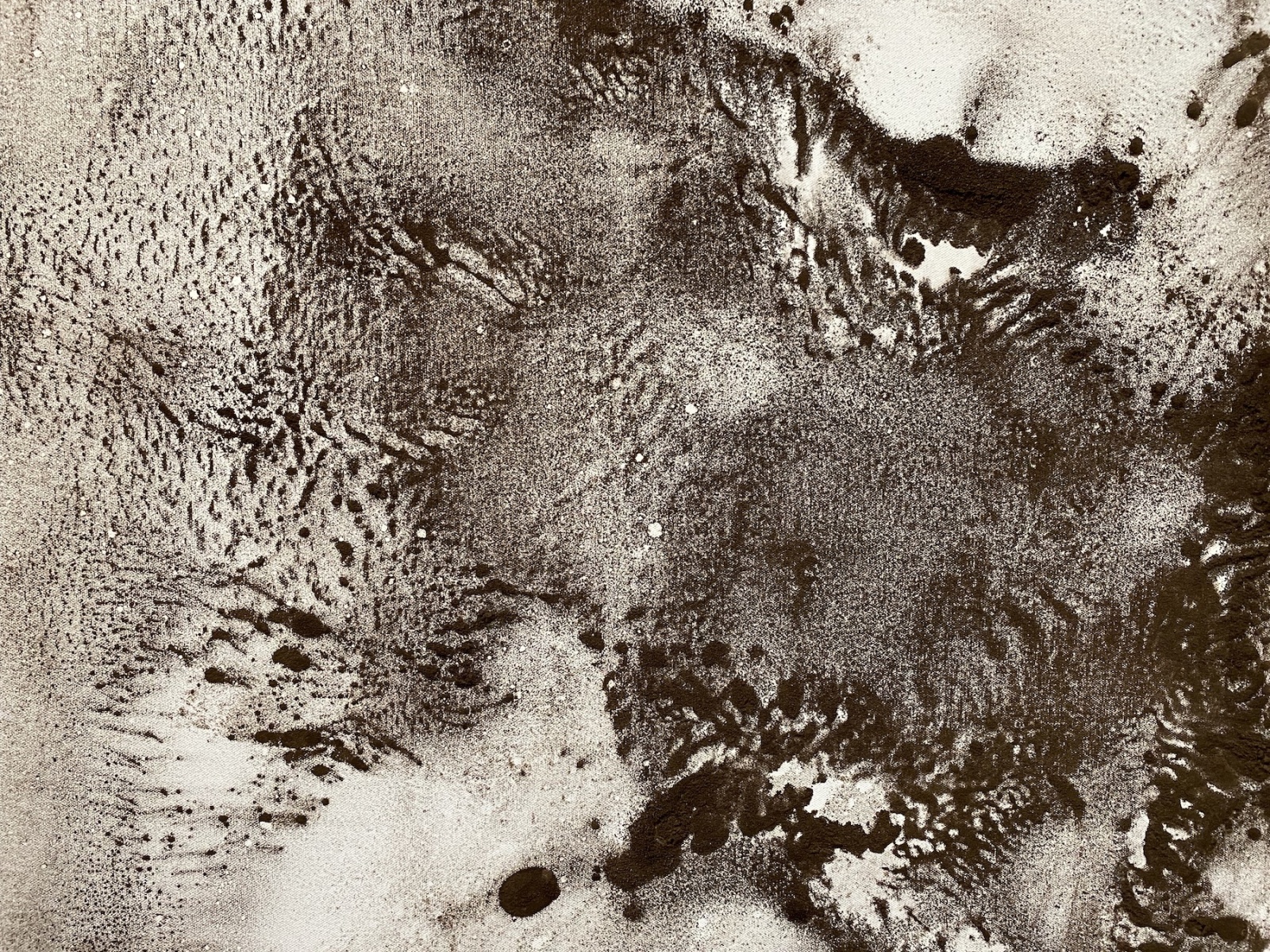 Image of a white canvas with dark brown soil scattered across the surface.