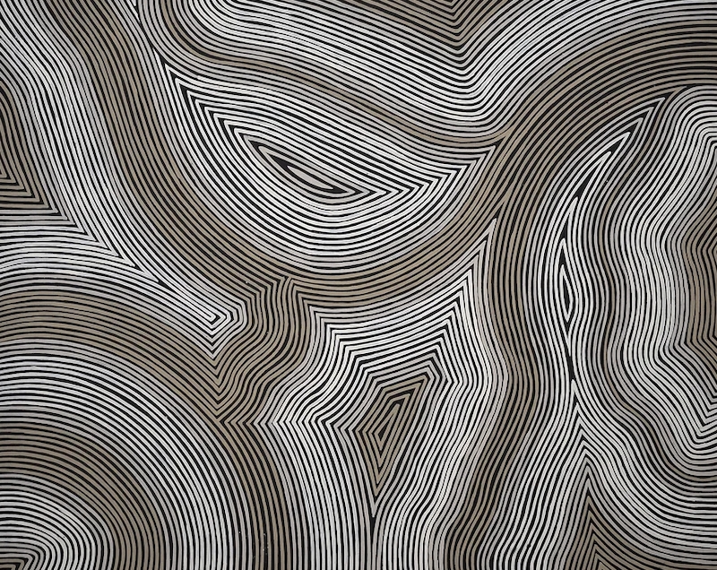 An Indigenous abstract painting is filled with rippling white and brown lines on a dark background