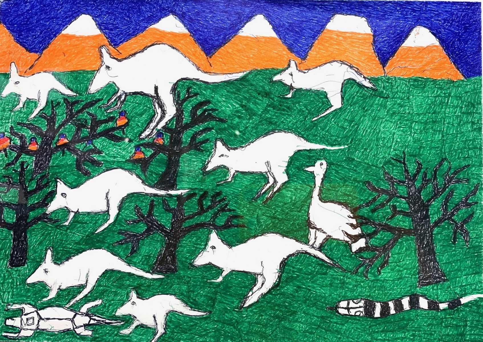 Kangaroos, trees and a snake drawn in colourful markers on white paper
