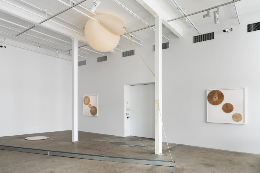 Worn and framed weather balloons hang in a white gallery, a further inflated balloon is suspended overhead and a metal grate lines the middle of the concrete floor.