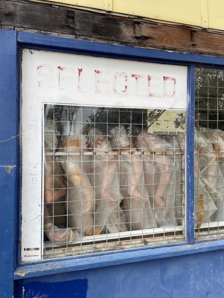 Looking in from the outside of a weathered shop window with a blue frame. Along the top of the window the word 'SELECTED' is painted in faded red on a white background. A stacked row of bubble wrapped, flesh coloured, mannequin-like figures fills the entire frame. The window glass is crisscrossed with a grid of security bars.