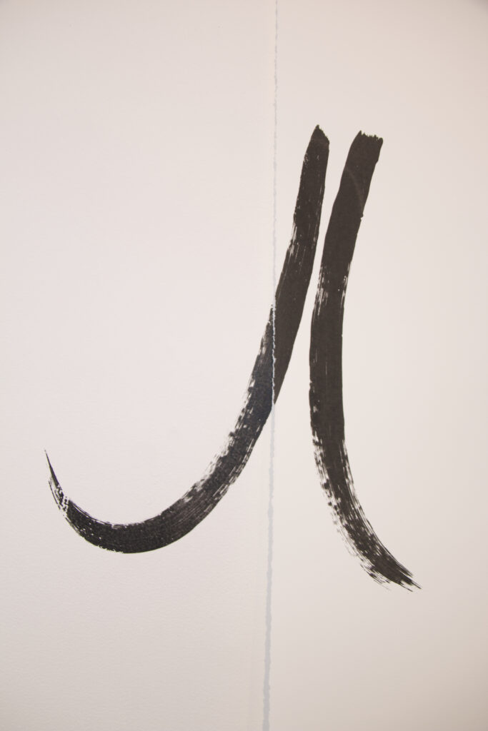 Two curved black lines, printed on a gallery wall and across a sheet of hung paper. 