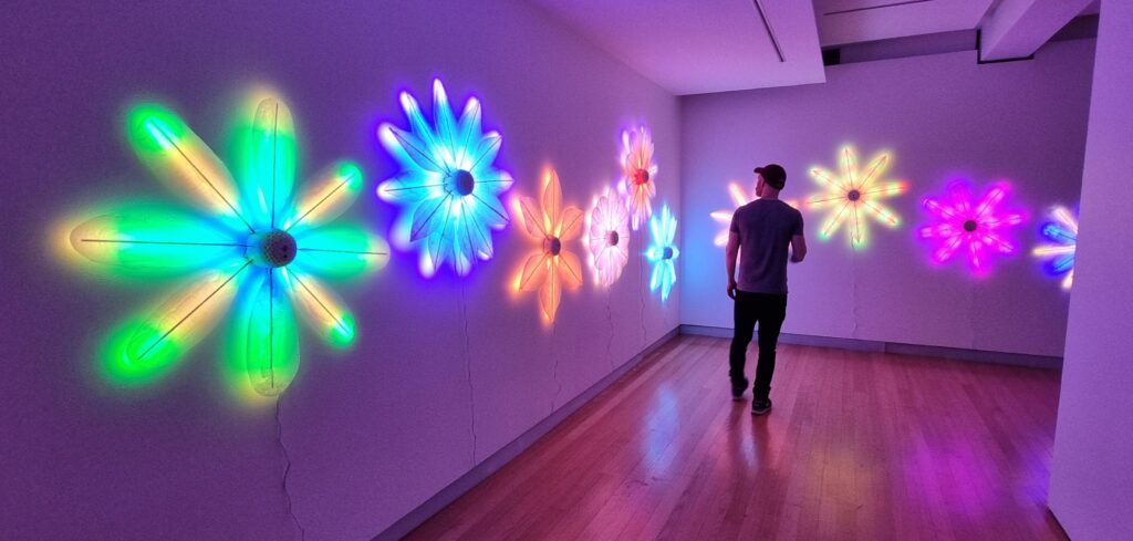 A man wanders a gallery space, on the walls are brightly lit floral forms.