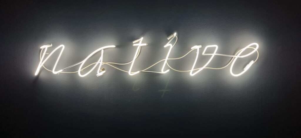 The word native is spelt out in italics in neon against a black wall.