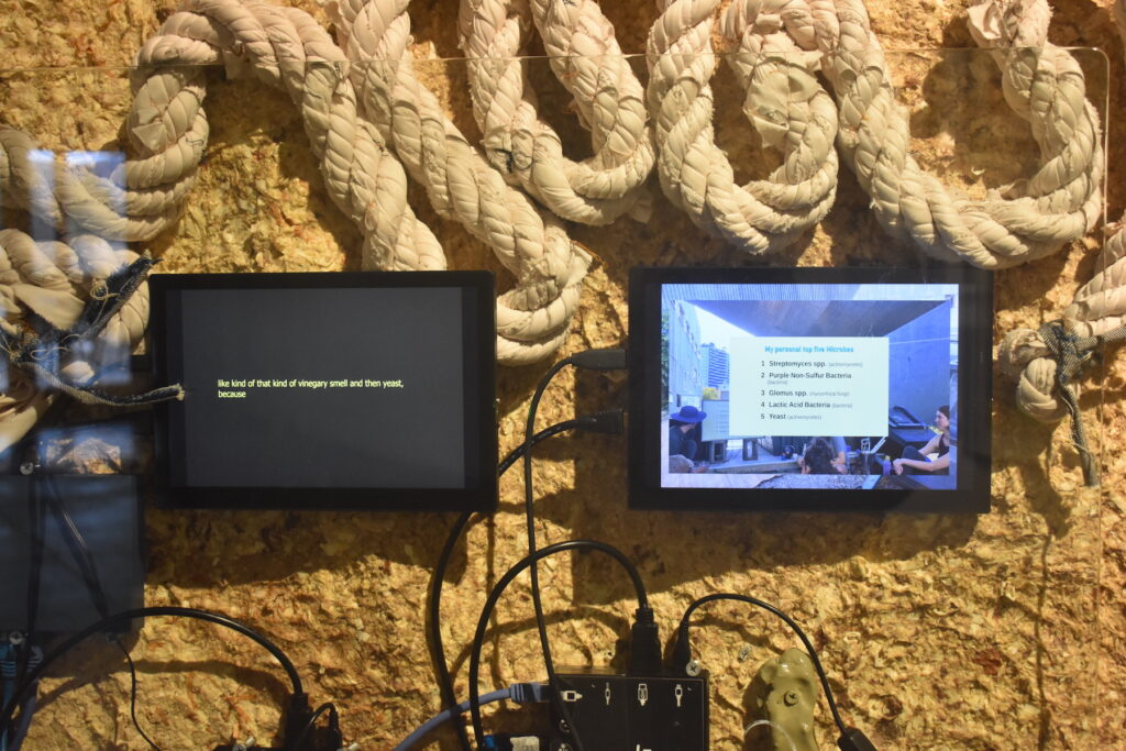 Detail of an artwork with two video screens amidst rope, wires and handmade paper pulp.