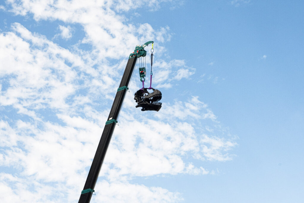 A dinosaur skull replica is lifted by a crane and hangs against a blue and cloudy sky.