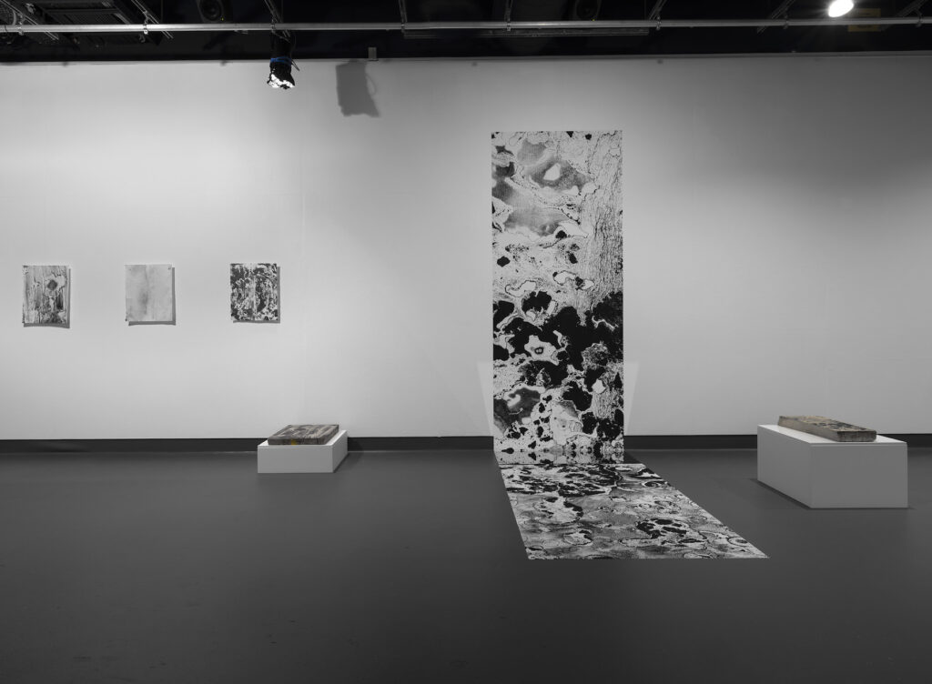 Black and white prints of different sizes hang on a wall and sit on plinths. One trails down and across the floor.