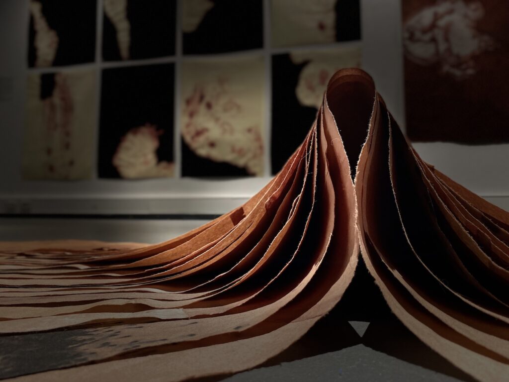 Layers of material sit on top of one another, scrunched up to a clock like shape. Images are displayed on a wall in the background.