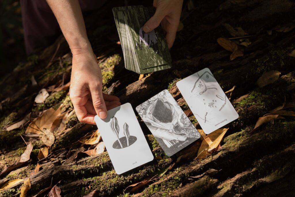 A close photograph of a person holding a deck of cards, we see their photographs and three overturned cards with botanical drawings on top of leaf litter and the roots of a tree. 