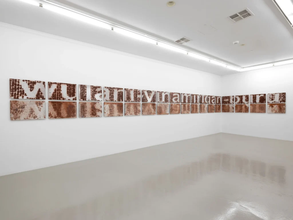 A series of 34 panels on a white gallery wall. Each panel is covered in red and brown pigment, which has been partially washed away, revealing the shapes of letters, which spell three words: wulani yinamirlgan buru.