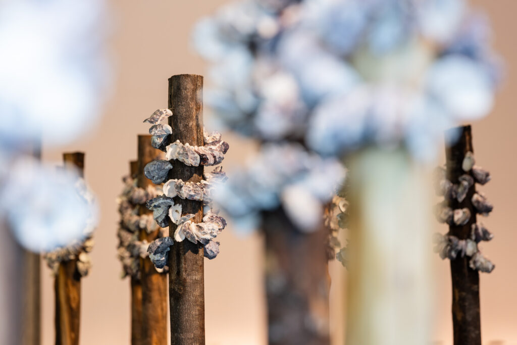 a refocussed shot of Megan Cope’s Whispers (poles) shot to obscure the foreground whilst providing a clear view of an oyster cluster in the background.